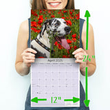 Great Dane Wall Calendar 2025