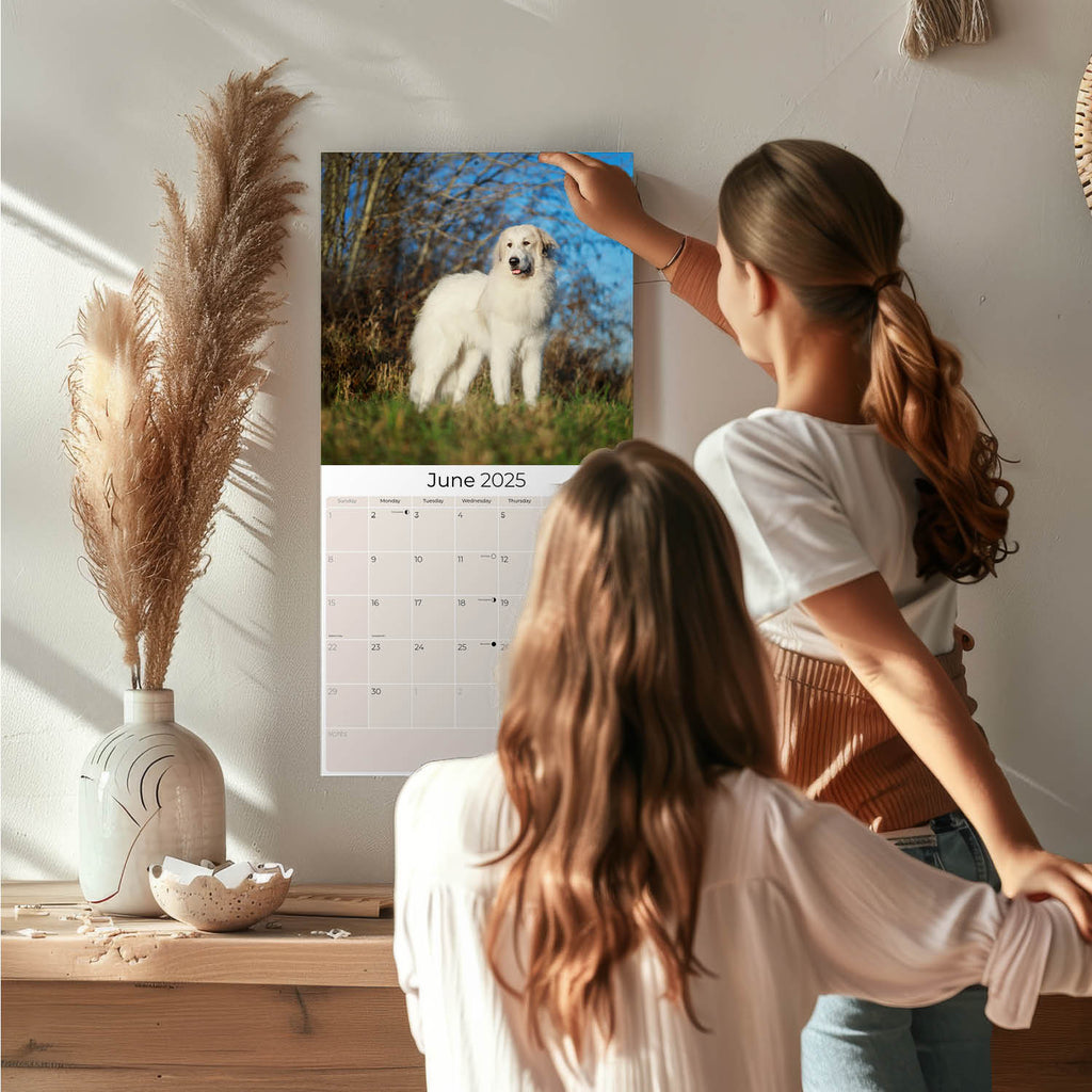 Great Pyrenees Wall Calendar 2025