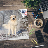 Great Pyrenees Wall Calendar 2025