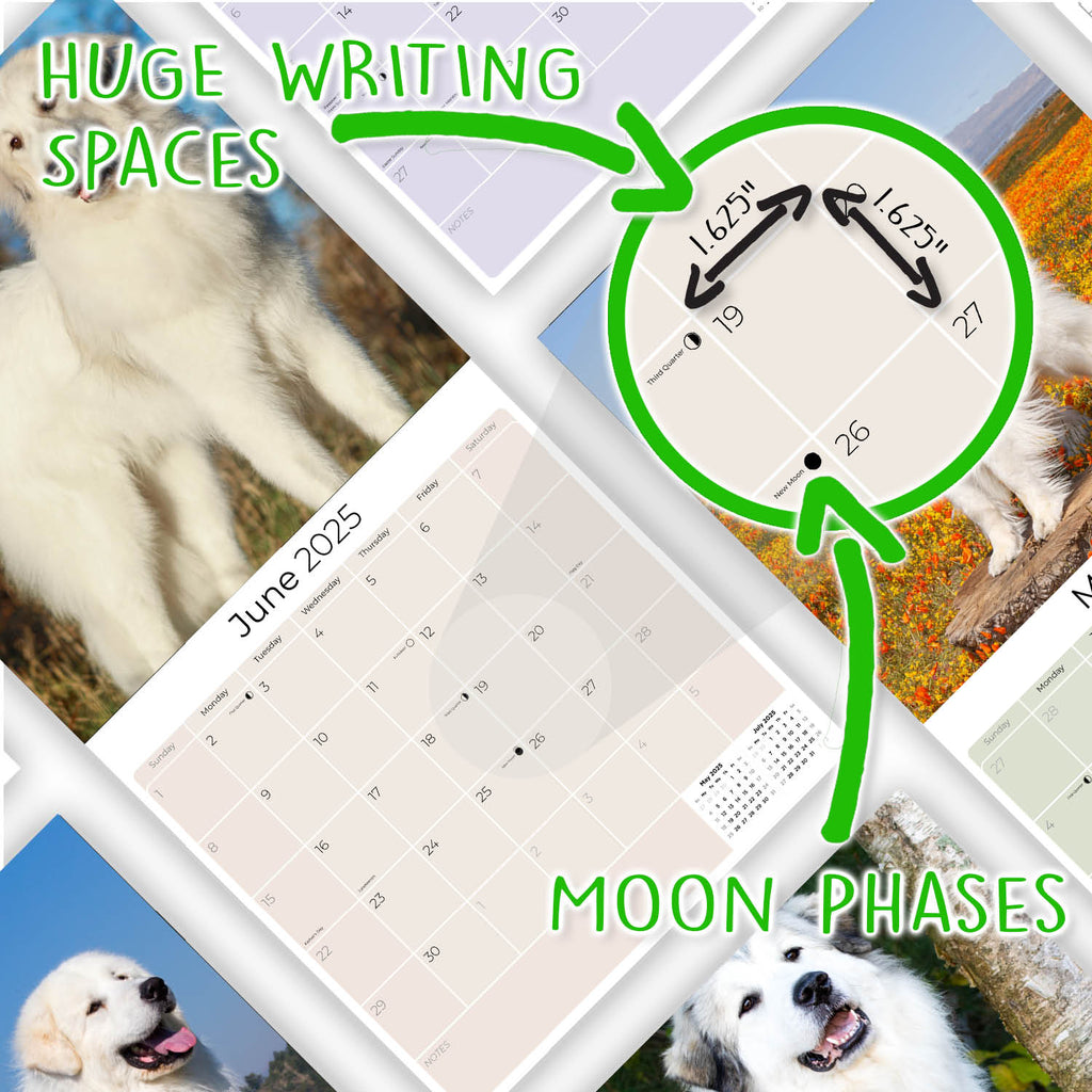 Great Pyrenees Wall Calendar 2025