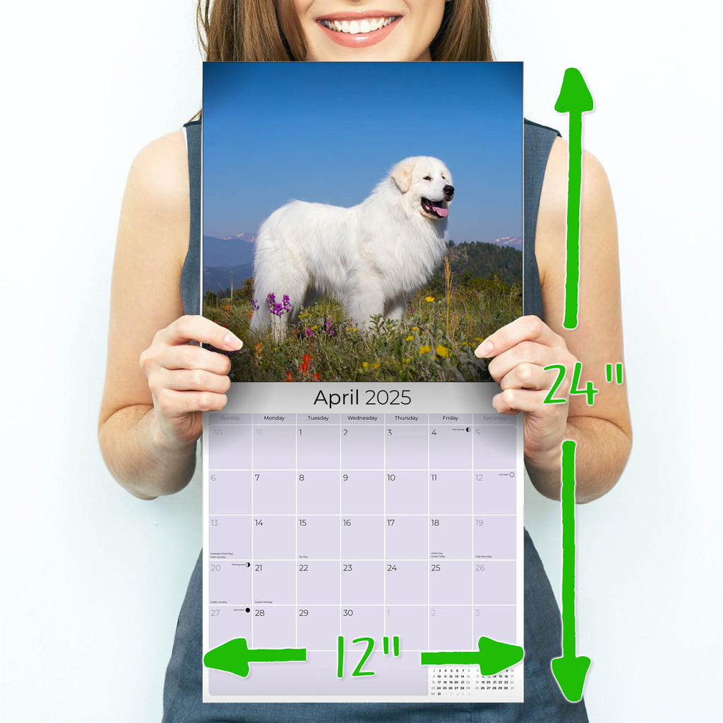 Great Pyrenees Wall Calendar 2025
