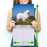Great Pyrenees Wall Calendar 2025