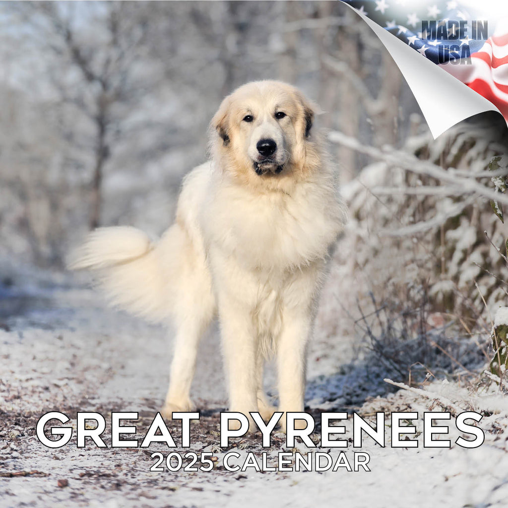 Great Pyrenees Wall Calendar 2025