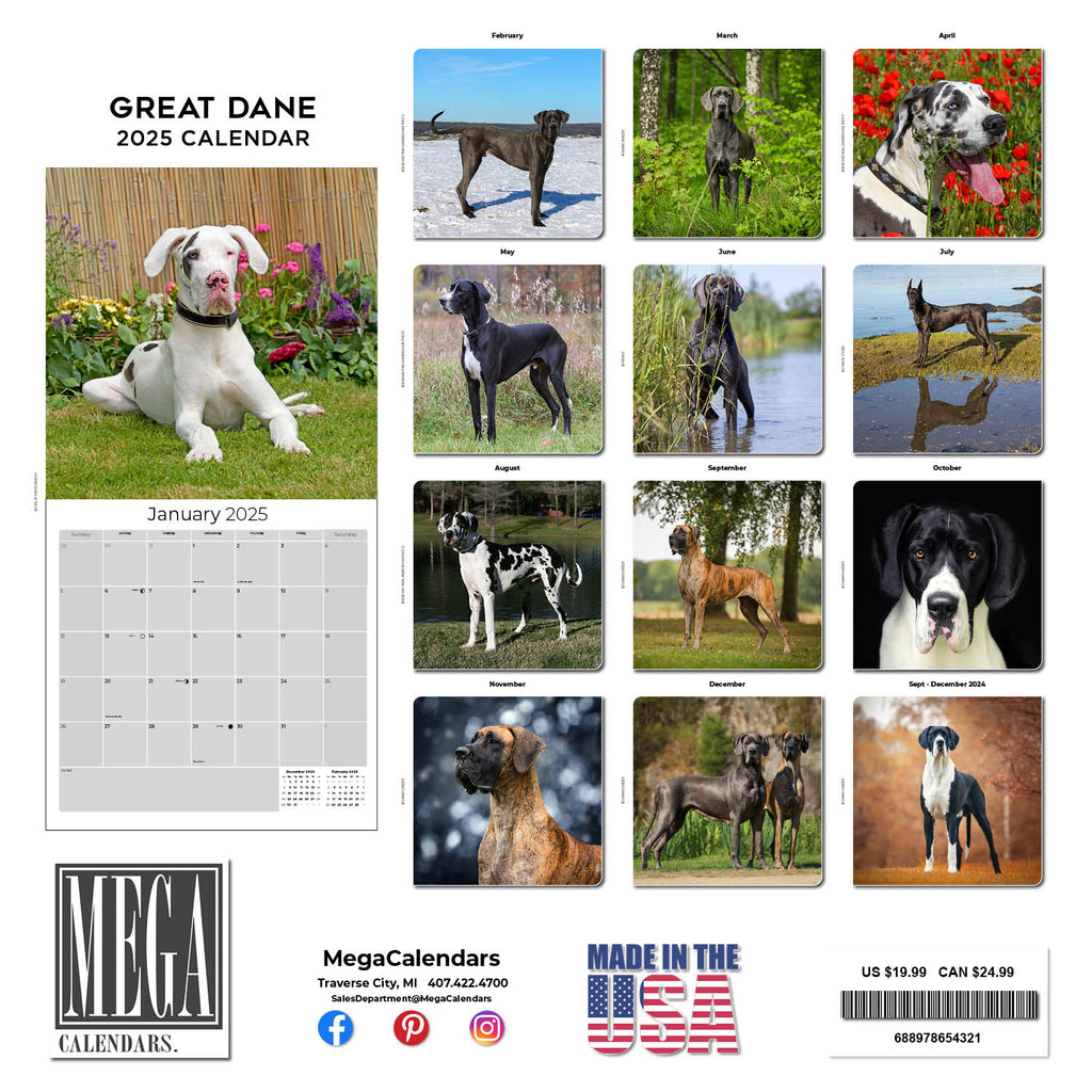 Great Dane Wall Calendar 2025