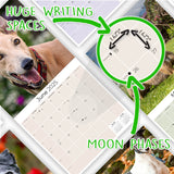 Greyhound Wall Calendar 2025