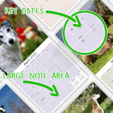 Greyhound Wall Calendar 2025