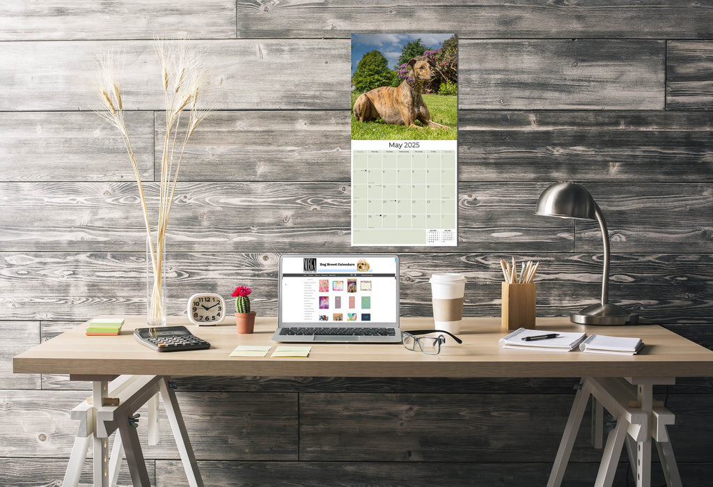 Greyhound Wall Calendar 2025