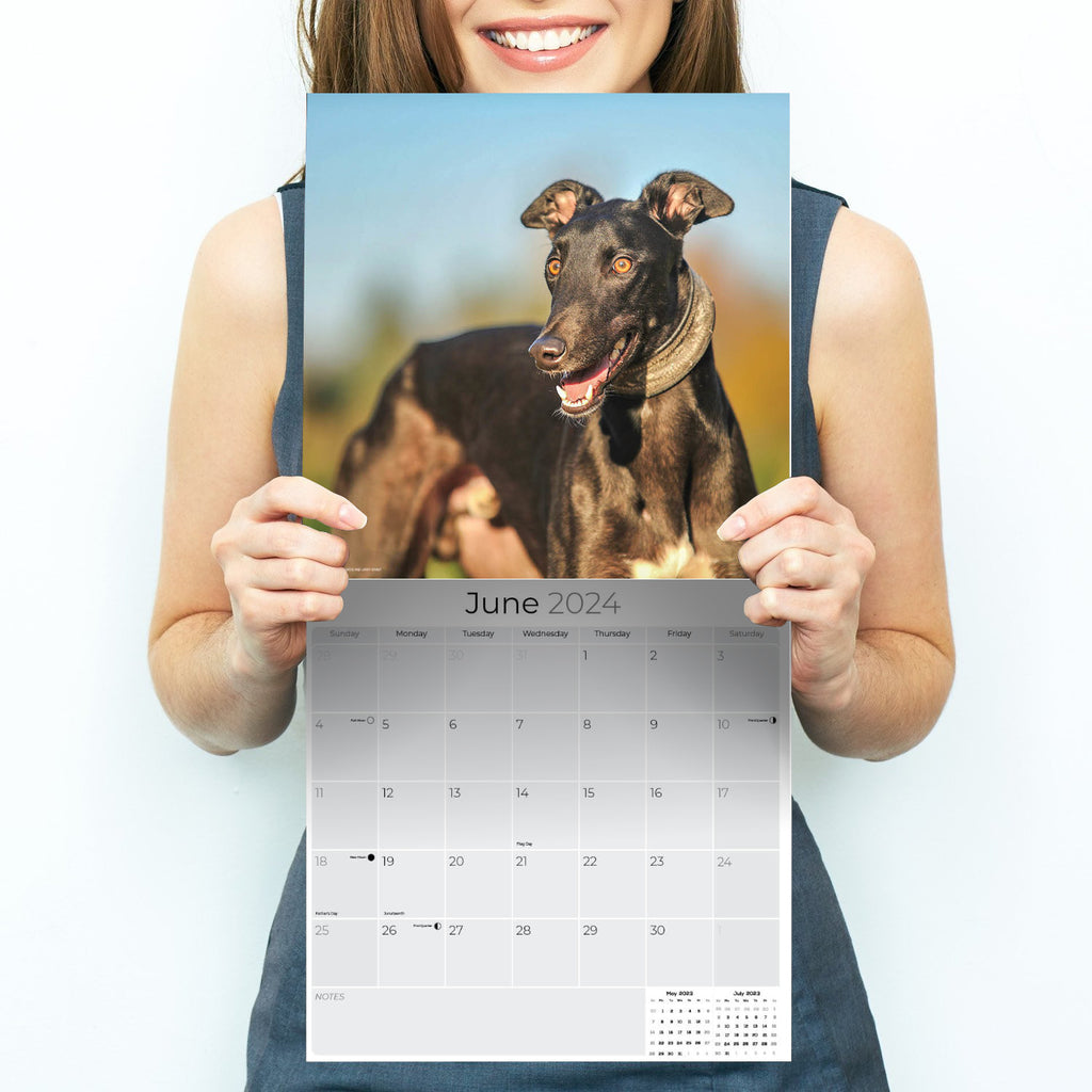 Greyhound Wall Calendar 2024