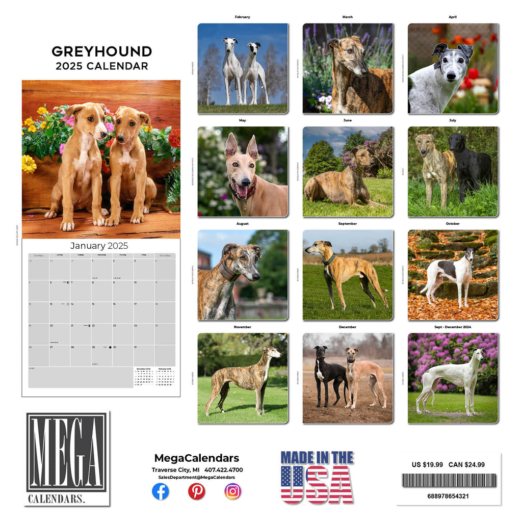 Greyhound Wall Calendar 2025