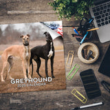 Greyhound Wall Calendar 2025