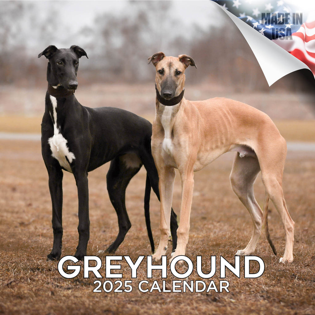 Greyhound Wall Calendar 2025