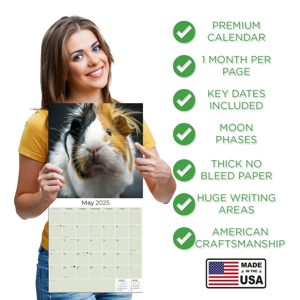 Guinea Pigs Wall Calendar 2025