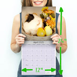 Guinea Pigs Wall Calendar 2025