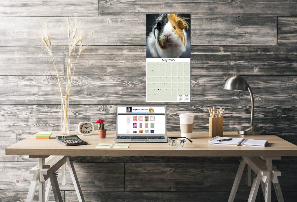 Guinea Pigs Wall Calendar 2025