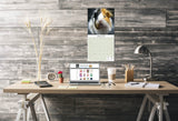 Guinea Pigs Wall Calendar 2025