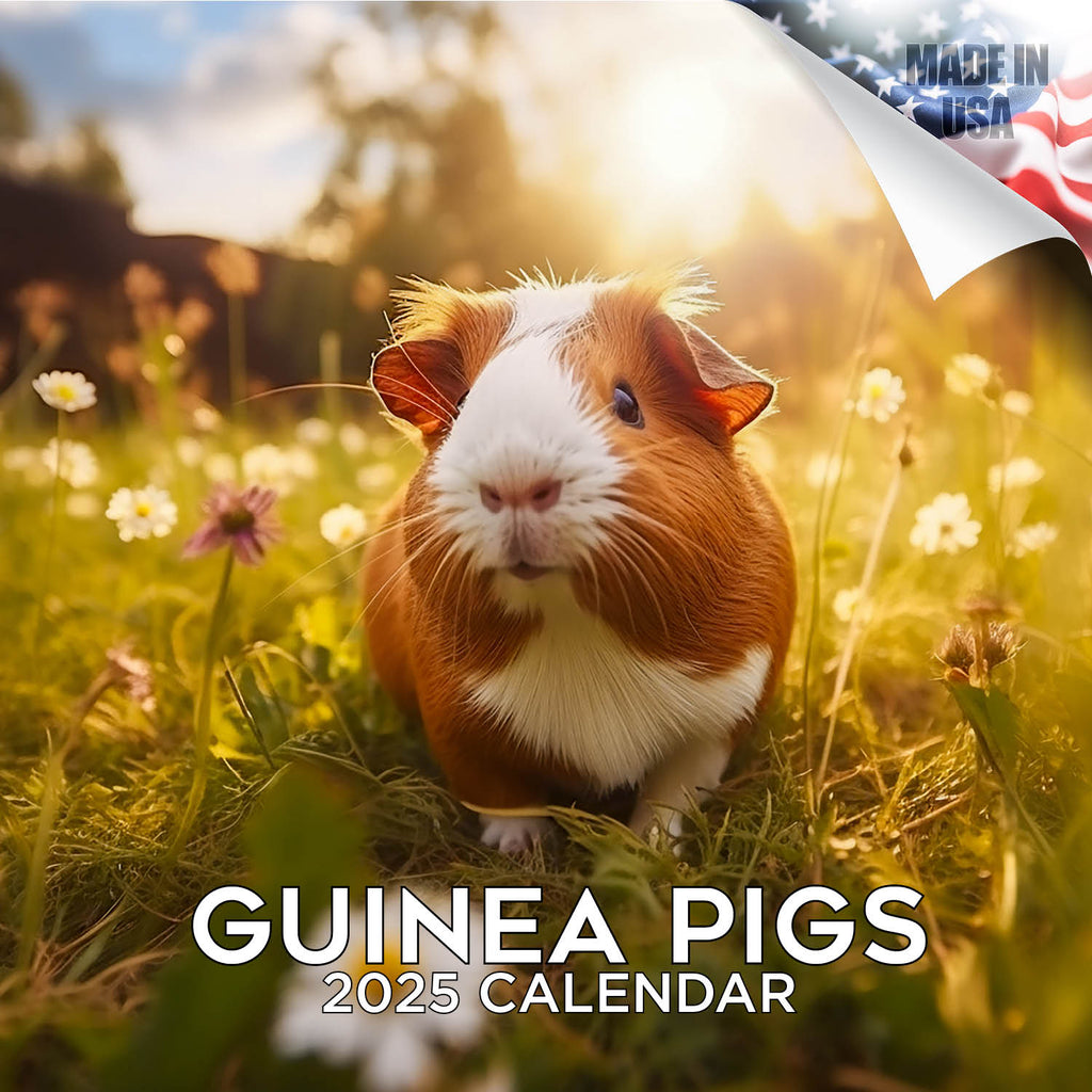 Guinea Pigs Wall Calendar 2025
