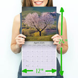 Hearts Wall Calendar 2025