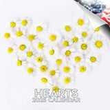 Hearts Wall Calendar 2025