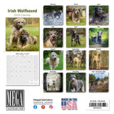 Irish Wolfhound Wall Calendar 2024