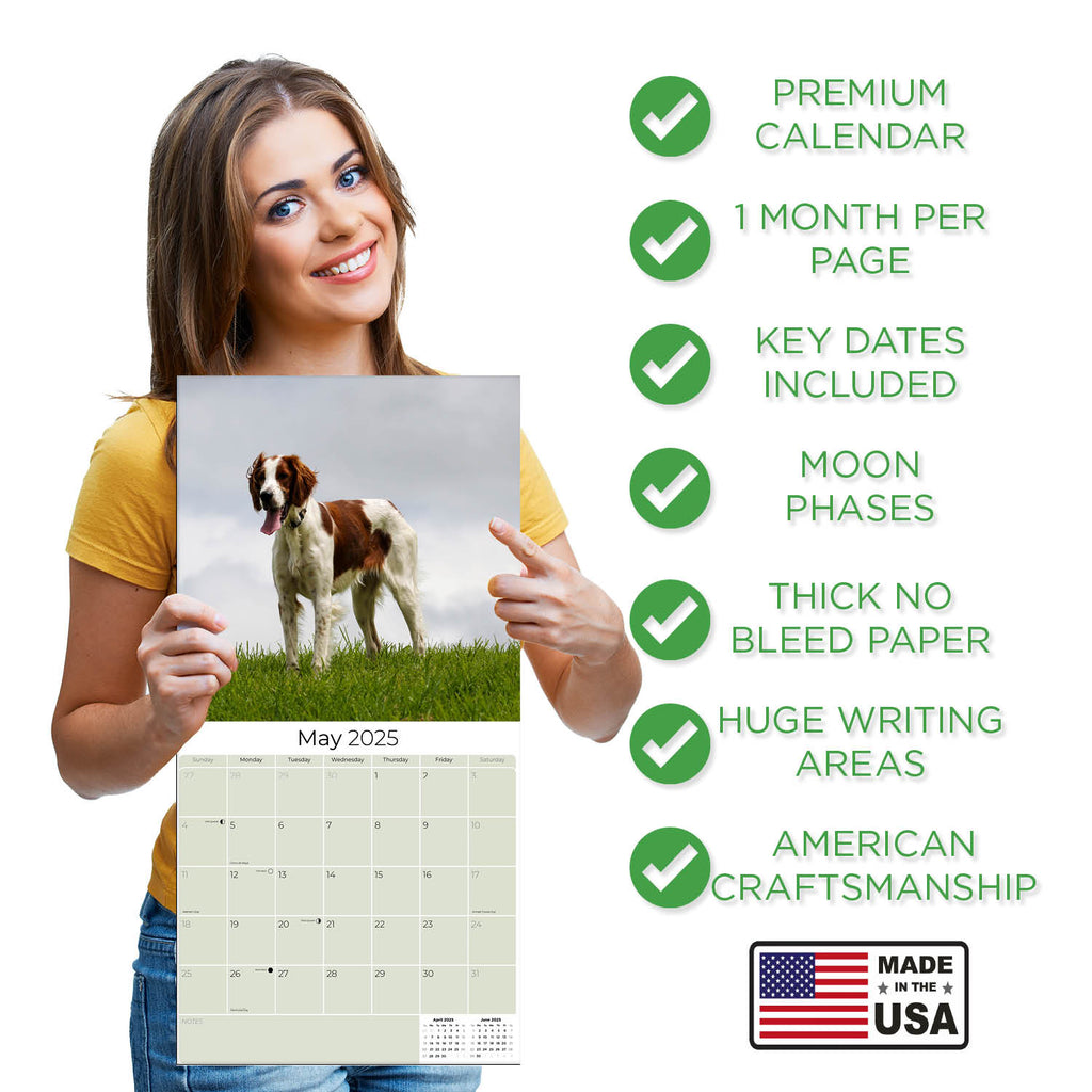 Irish Setter Wall Calendar 2025