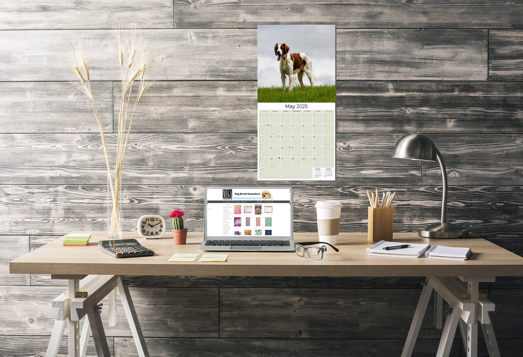 Irish Setter Wall Calendar 2025