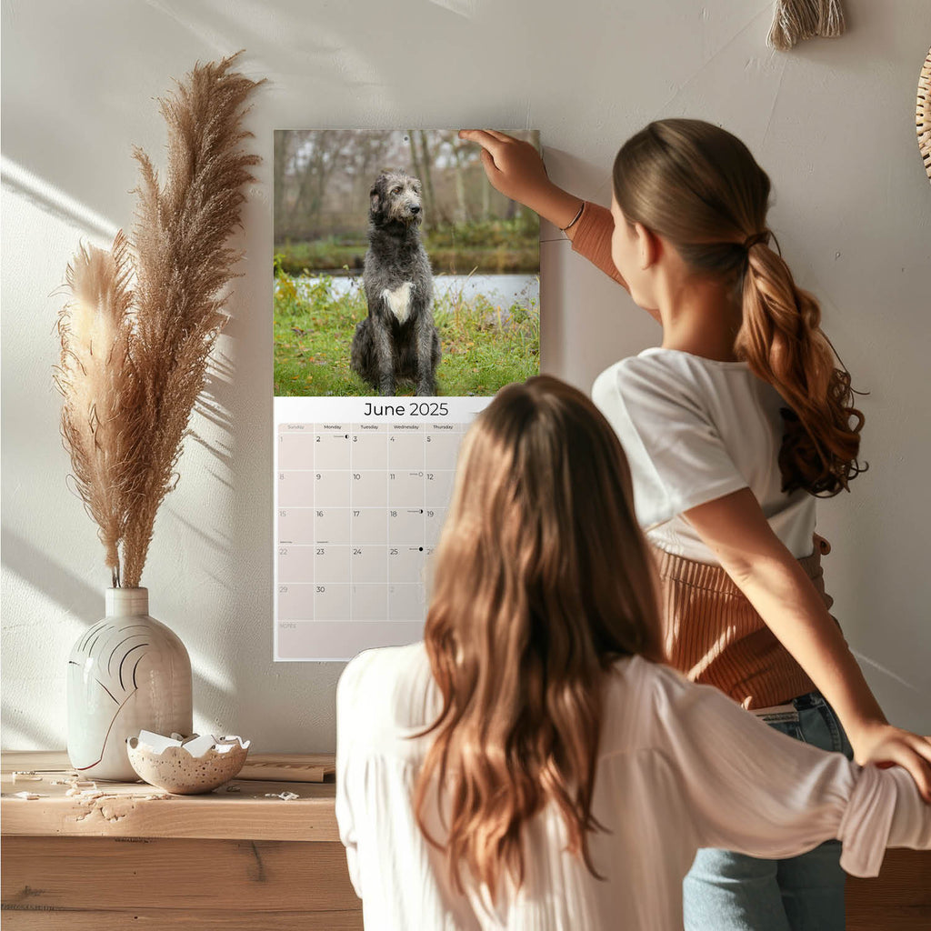 Irish Wolfhound Wall Calendar 2025
