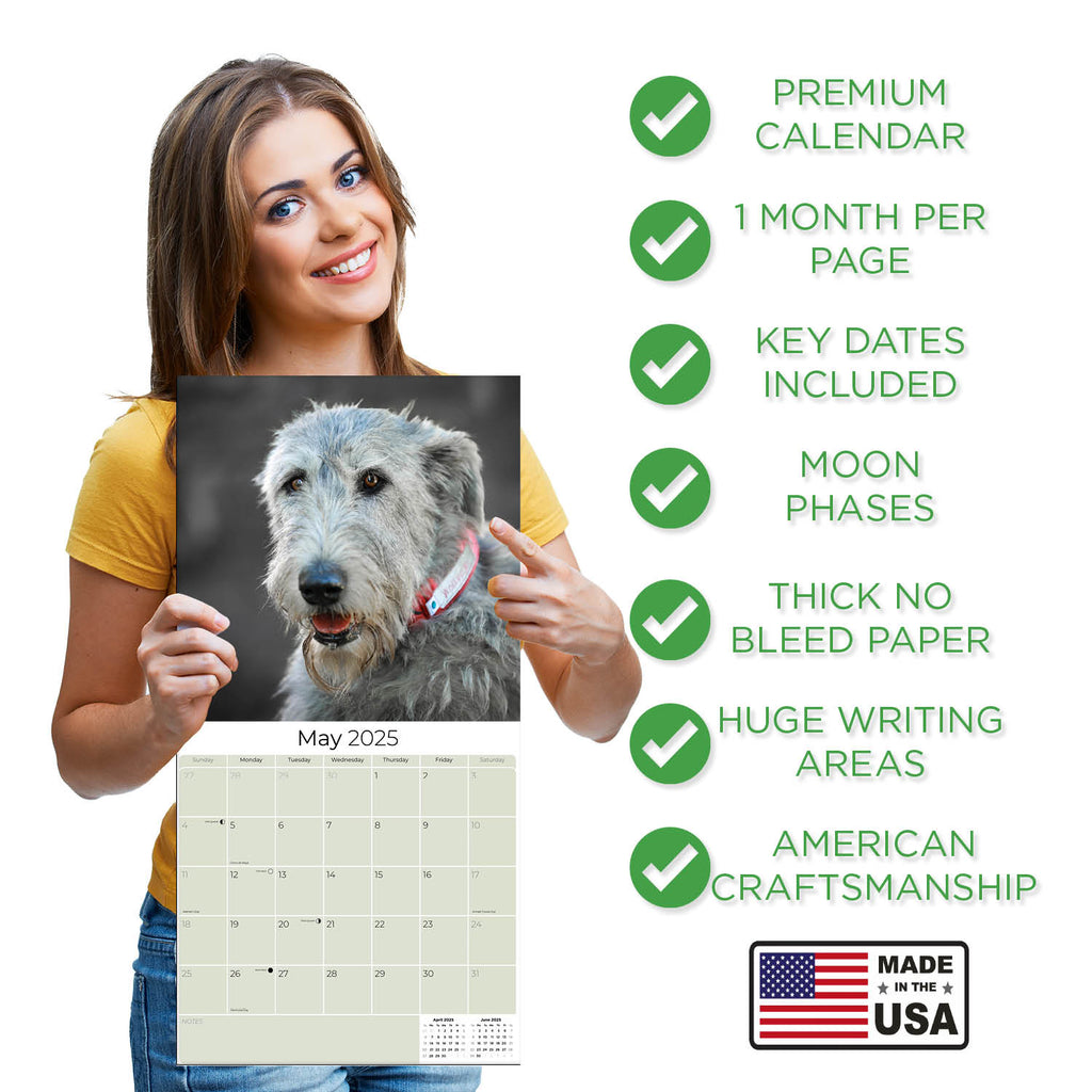 Irish Wolfhound Wall Calendar 2025