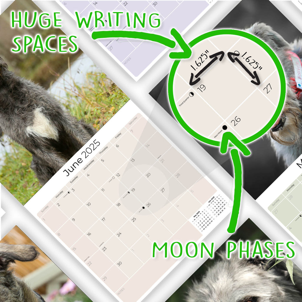 Irish Wolfhound Wall Calendar 2025