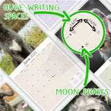 Irish Wolfhound Wall Calendar 2025