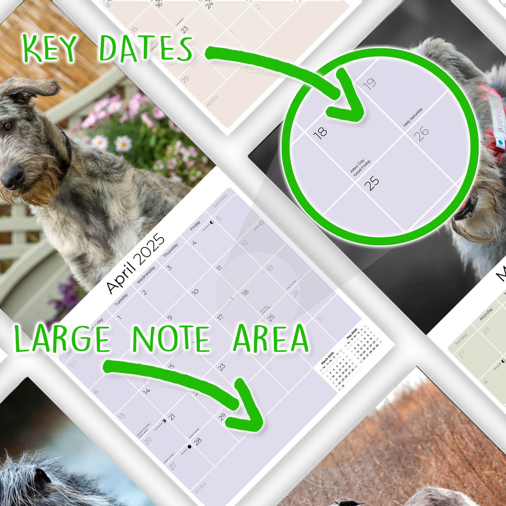Irish Wolfhound Wall Calendar 2025
