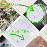 Irish Wolfhound Wall Calendar 2025