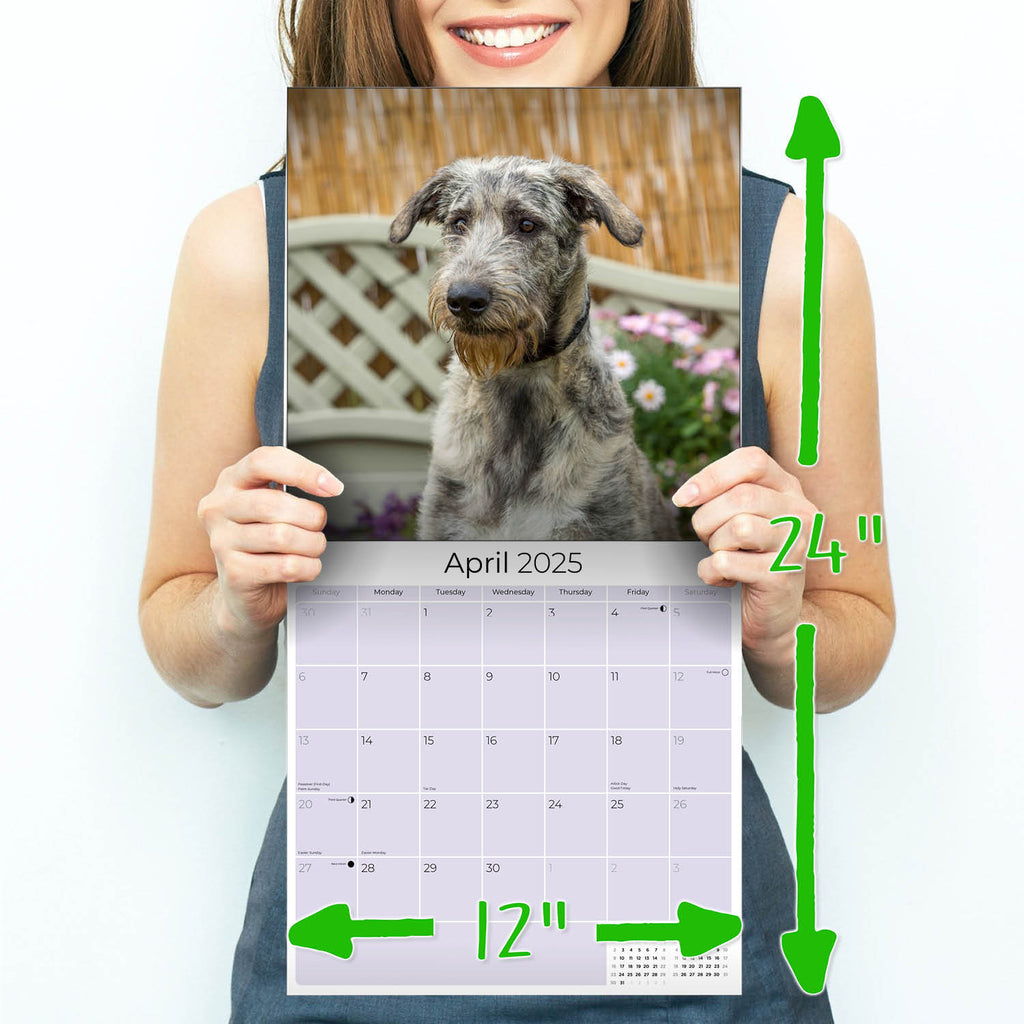 Irish Wolfhound Wall Calendar 2025