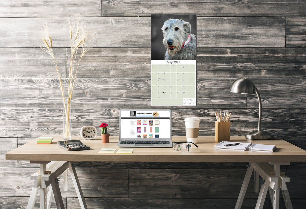 Irish Wolfhound Wall Calendar 2025