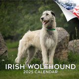 Irish Wolfhound Wall Calendar 2025
