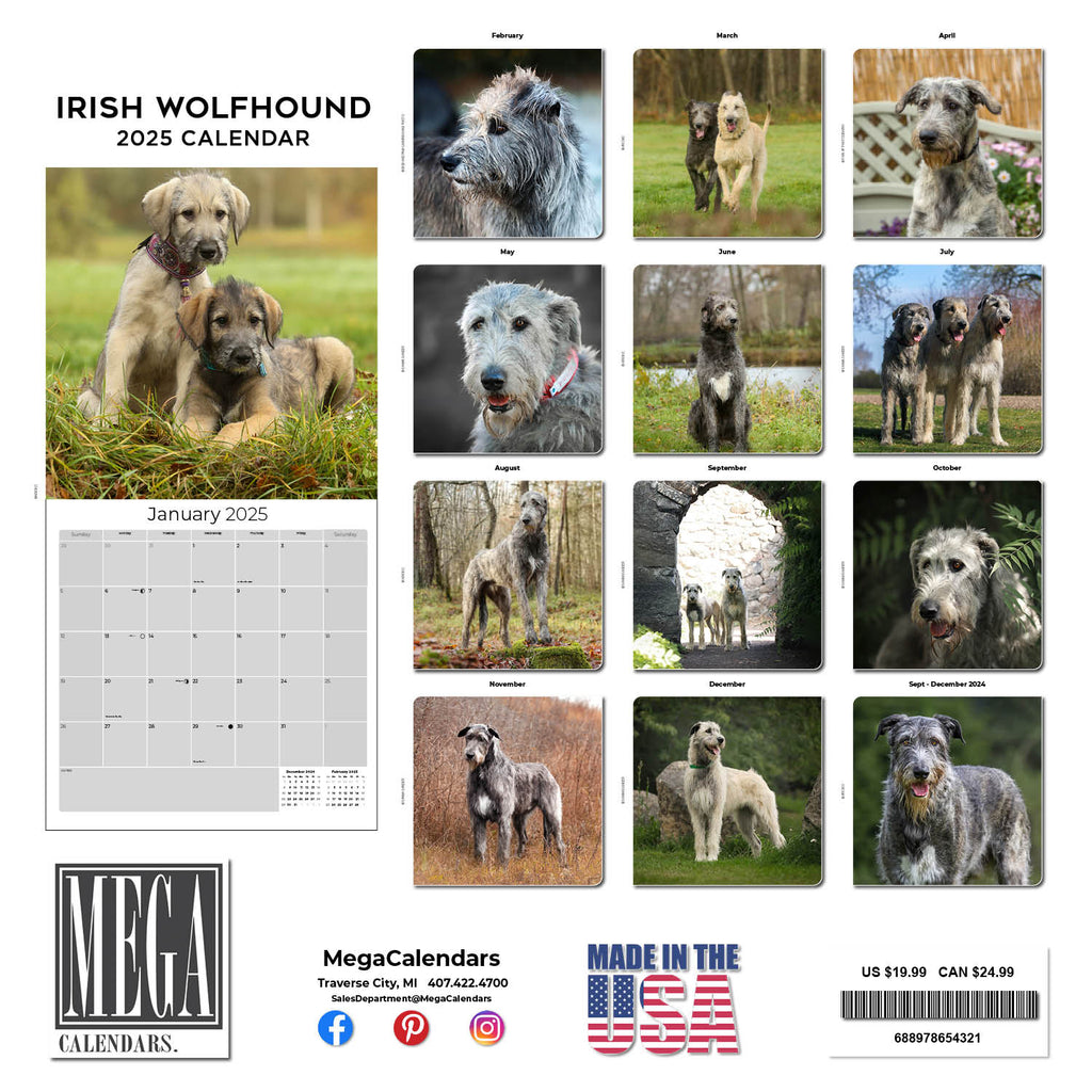 Irish Wolfhound Wall Calendar 2025