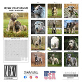 Irish Wolfhound Wall Calendar 2025
