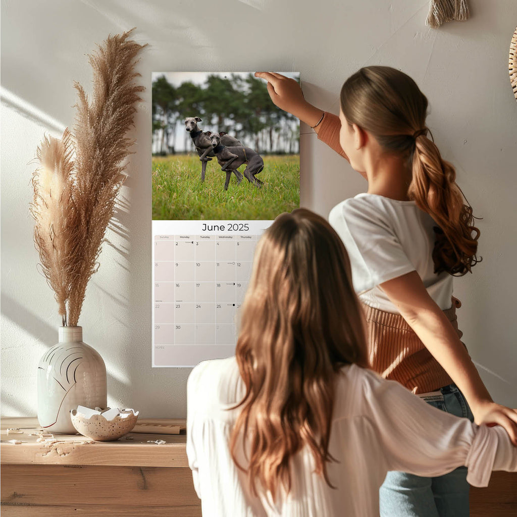 Italian Greyhound Wall Calendar 2025