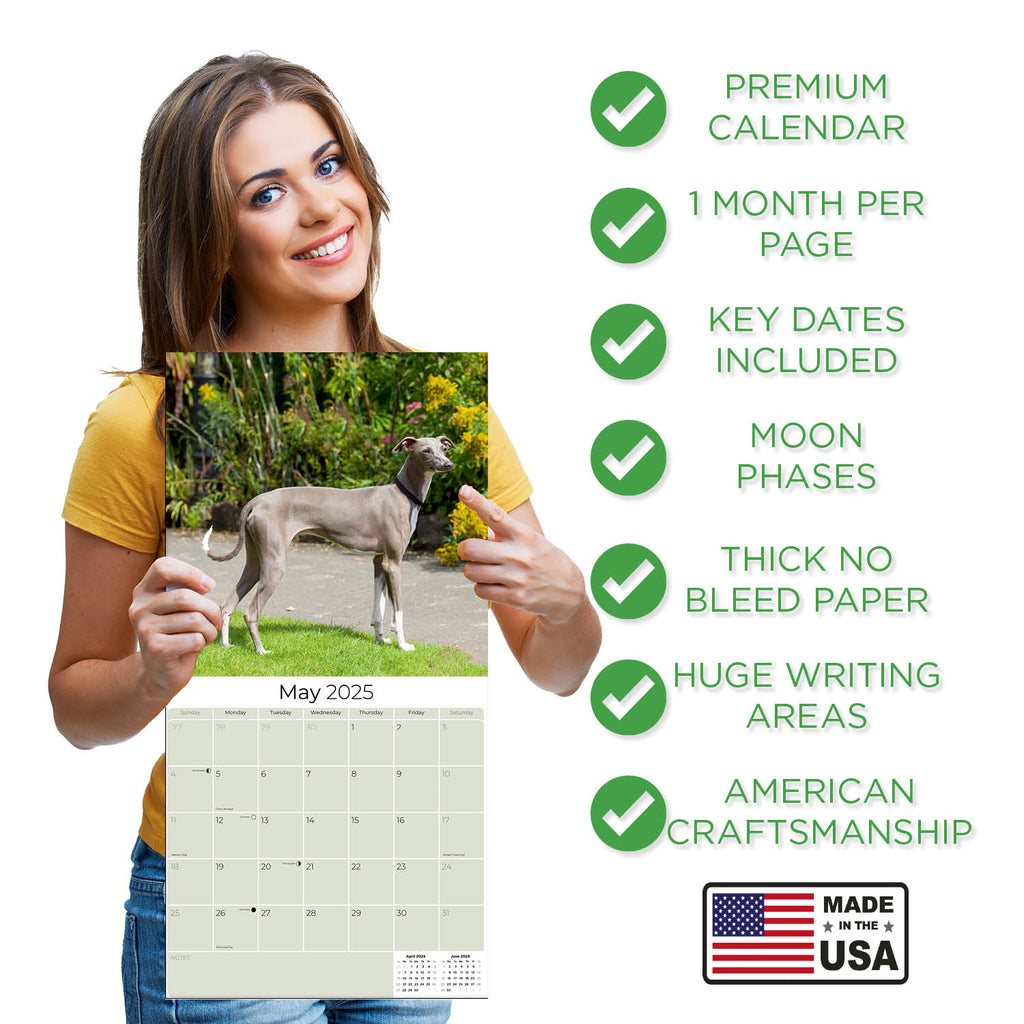 Italian Greyhound Wall Calendar 2025