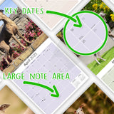 Italian Greyhound Wall Calendar 2025