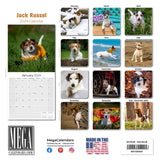 Jack Russell Wall Calendar 2024
