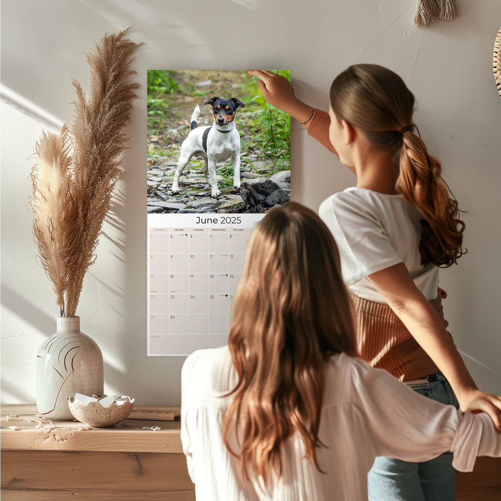 Jack Russell Wall Calendar 2025