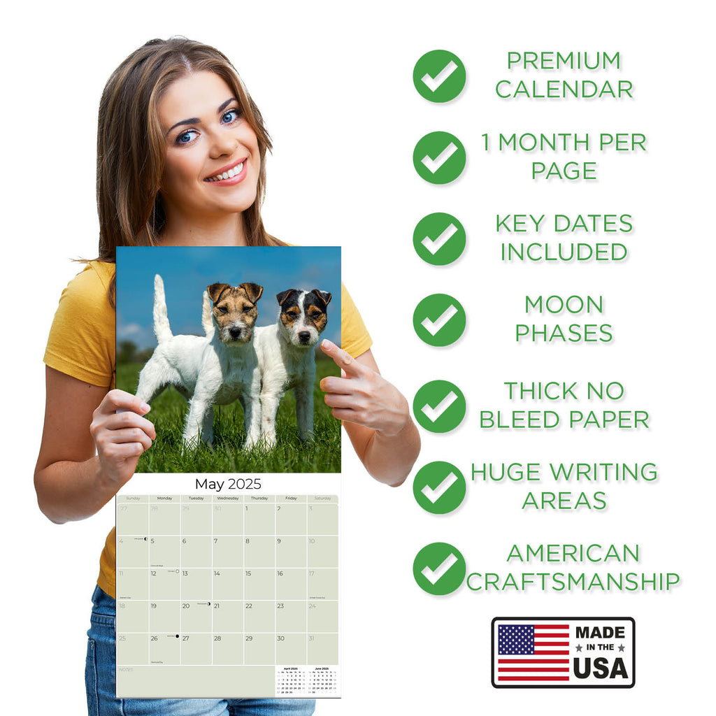 Jack Russell Wall Calendar 2025