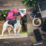 Jack Russell Wall Calendar 2025