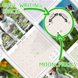 Jack Russell Wall Calendar 2025
