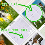 Jack Russell Wall Calendar 2025