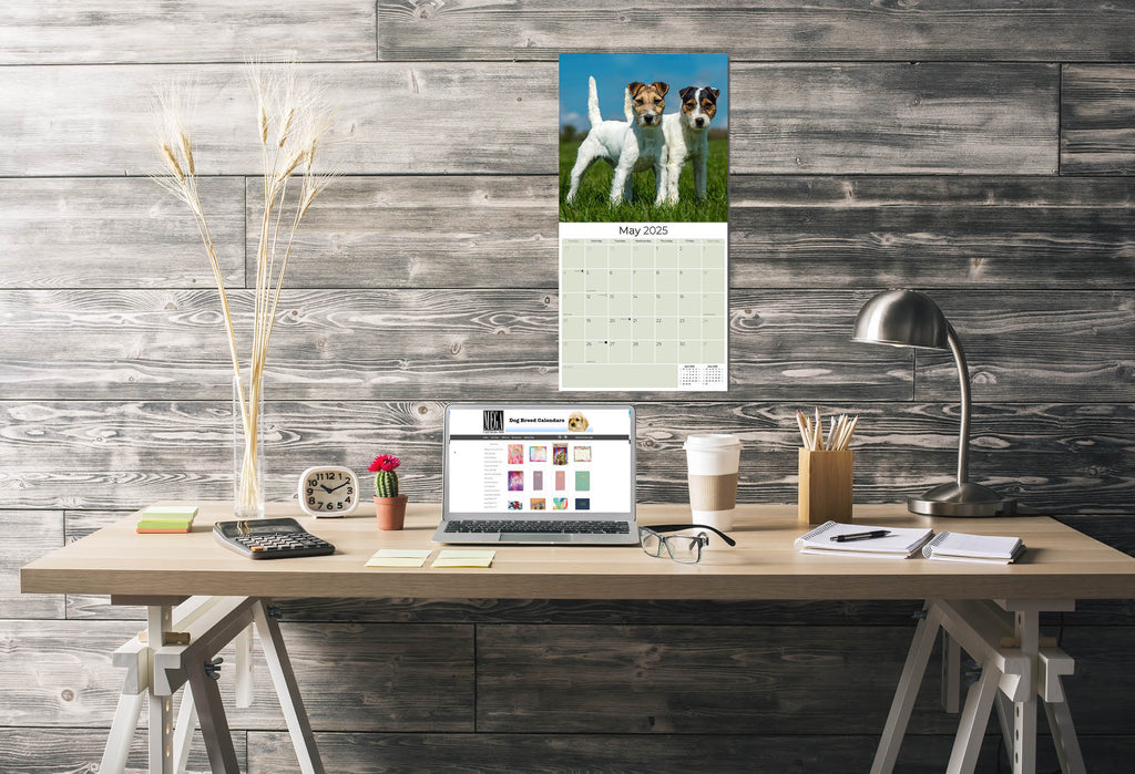 Jack Russell Wall Calendar 2025