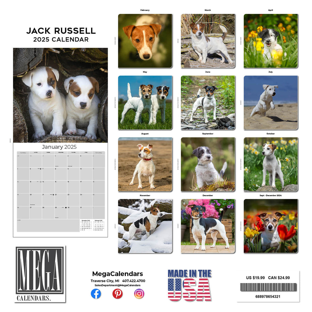 Jack Russell Wall Calendar 2025