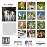 Jack Russell Wall Calendar 2025