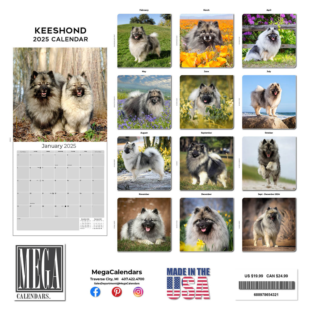 Keeshond Wall Calendar 2025