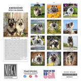 Keeshond Wall Calendar 2025